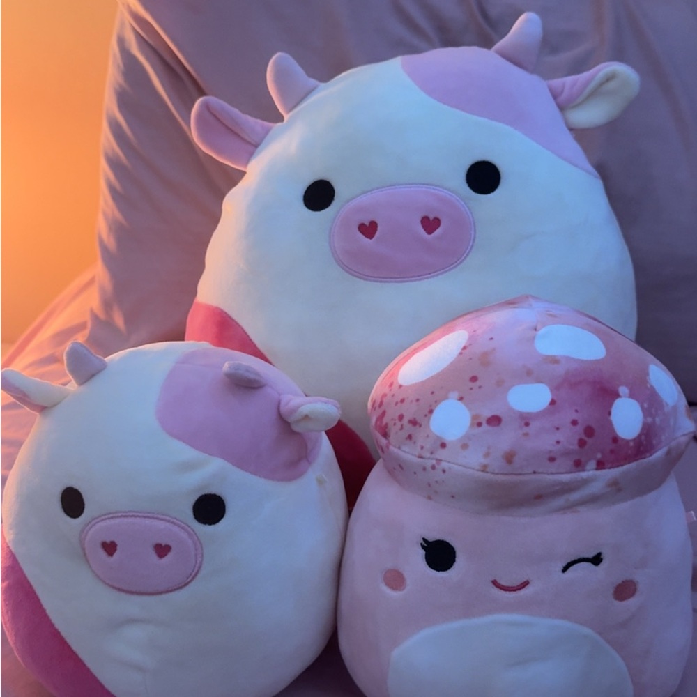 Brand new never been used Squishmallows !